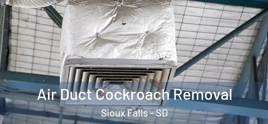  Air Duct Cockroach Removal Sioux Falls - SD
