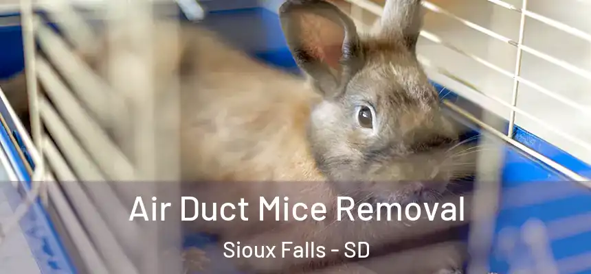  Air Duct Mice Removal Sioux Falls - SD