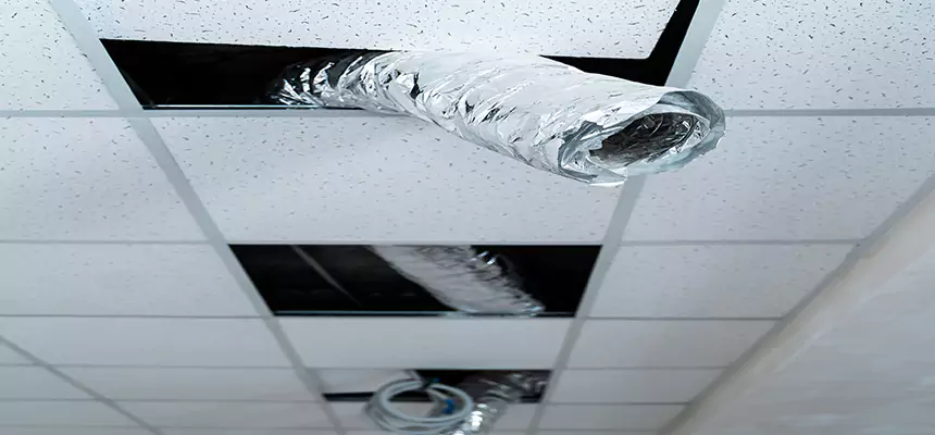 Our Air Duct Pet Hair Removal Services in Sioux Falls, SD