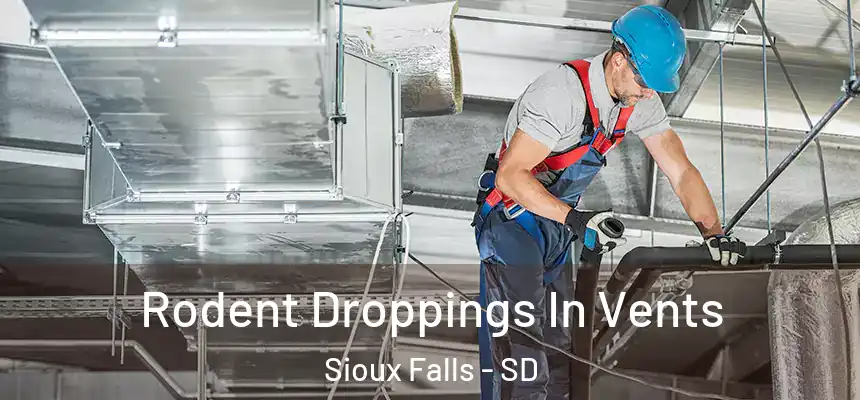  Rodent Droppings In Vents Sioux Falls - SD