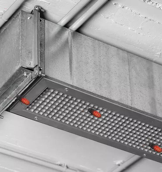 Affordable Insect Removal from Air Ducts in Sioux Falls, SD