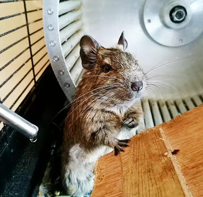 Why Homeowners & Businesses Trust Us Sioux Falls, SD